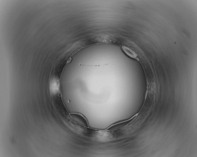 X0000110720095200906191515