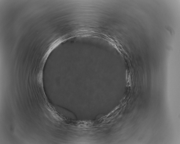 X0000110720099200906191514