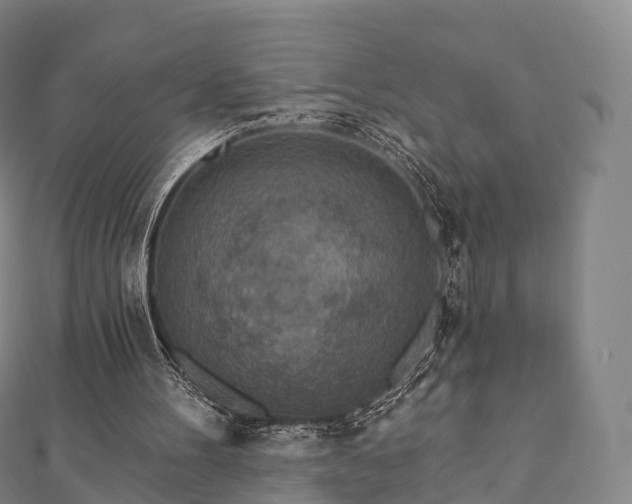 X0000110720100200906191514