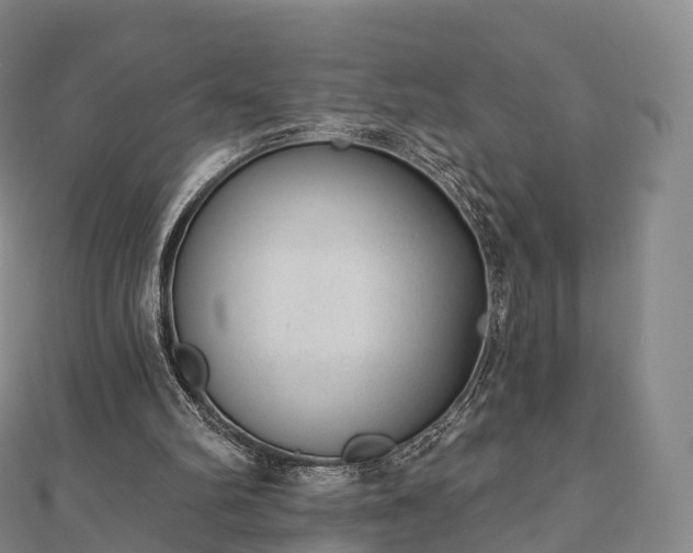 X0000110720102200906191514