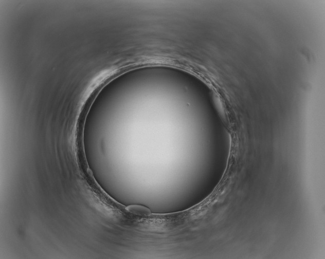 X0000110720104200906191514