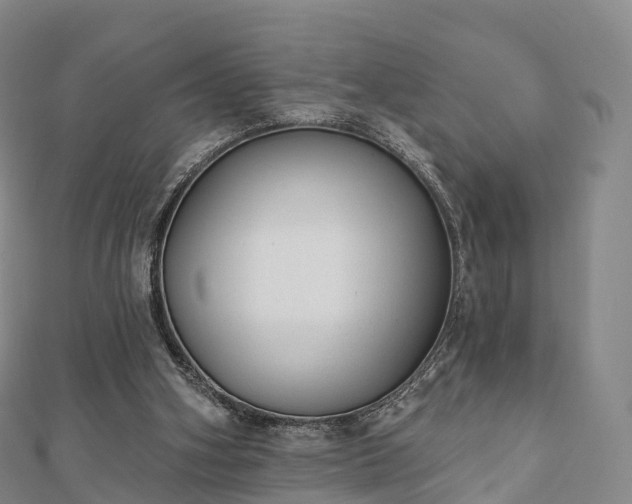 X0000110720106200906191514