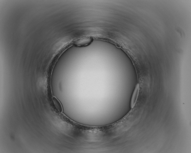 X0000110720112200906191514