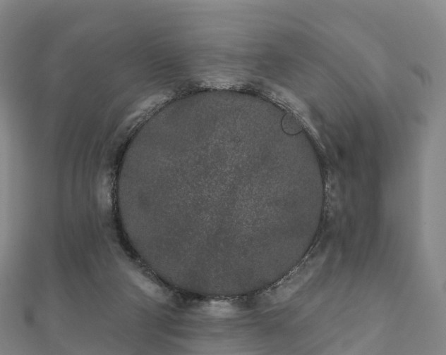 X0000110720114200906191514