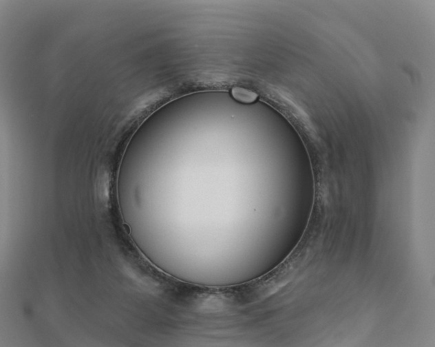 X0000110720115200906191514