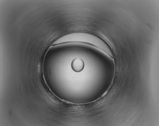 X0000110720117200906191514