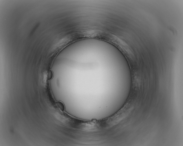 X0000110720118200906191514