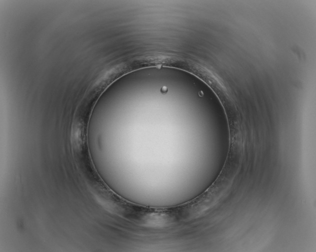 X0000110720119200906191514