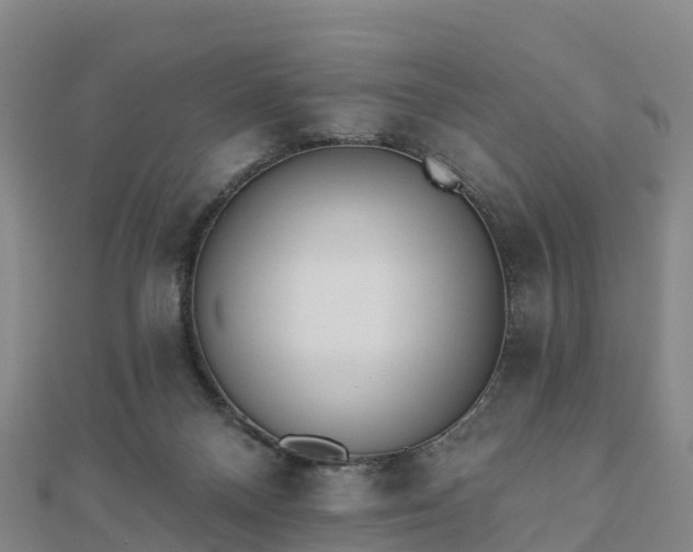 X0000110720120200906191514