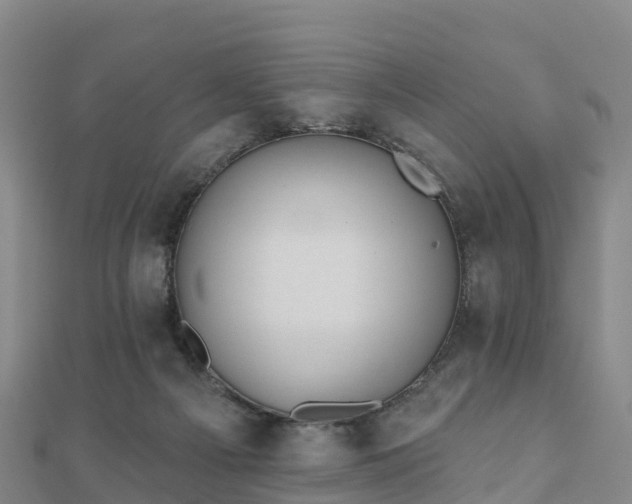 X0000110720121200906191514