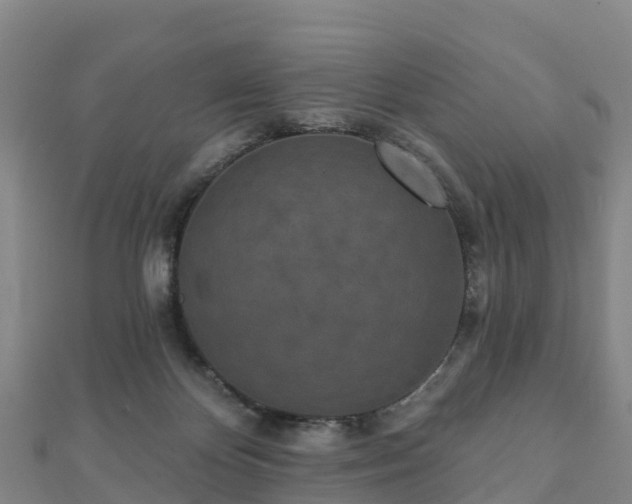 X0000110720124200906191514