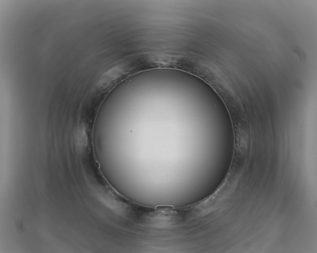 X0000110720128200906191514