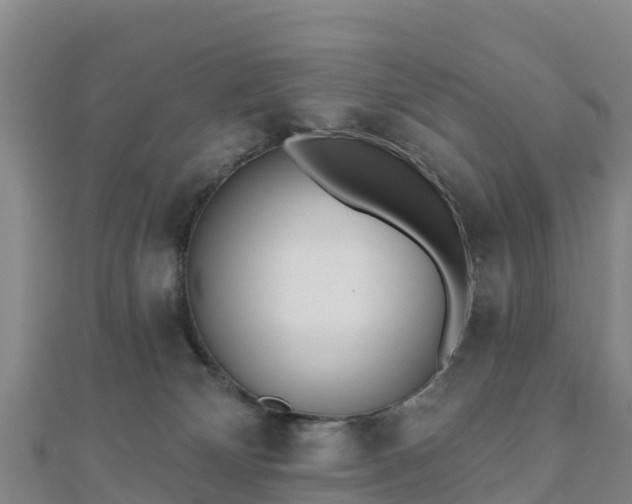 X0000110720132200906191513