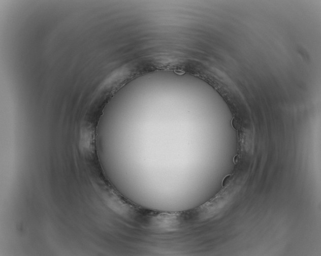 X0000110720138200906191513