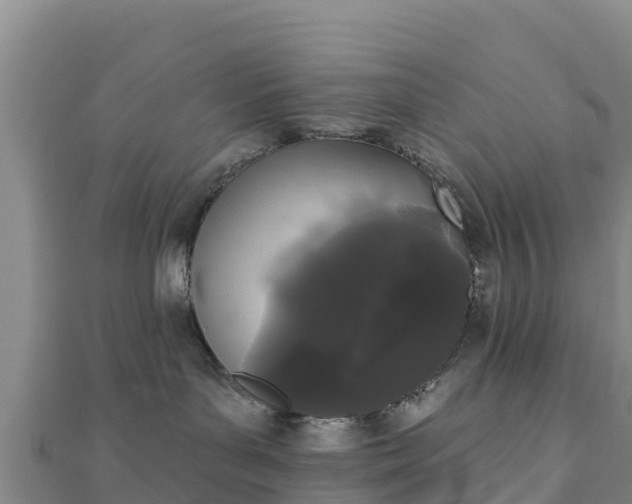 X0000110720143200906191513