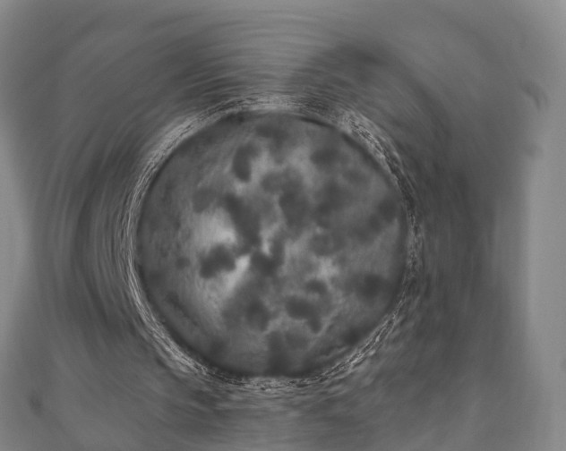 X0000110720145200906191513