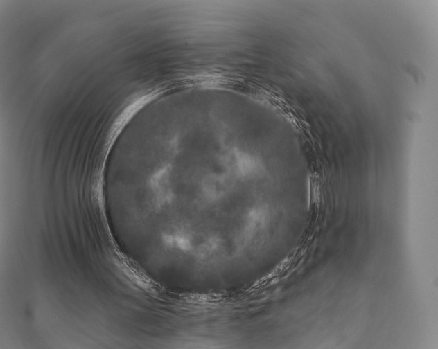 X0000110720147200906191513