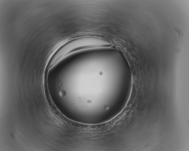 X0000110720148200906191513
