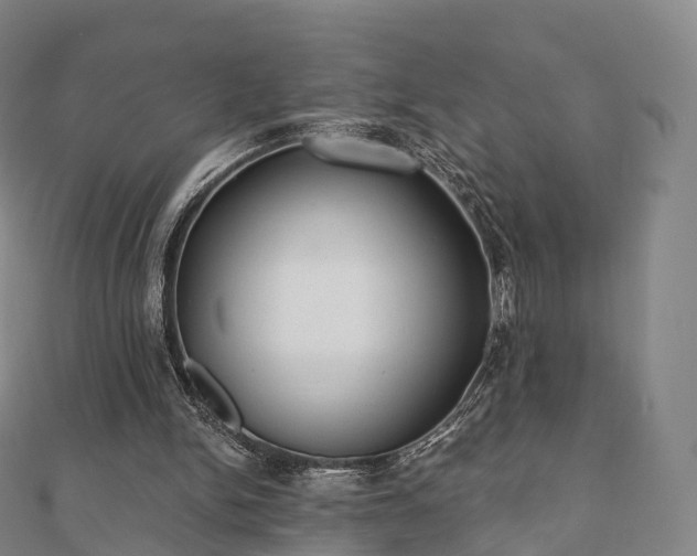 X0000110720150200906191513