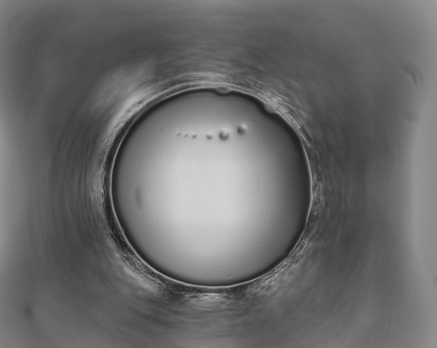 X0000110720151200906191513
