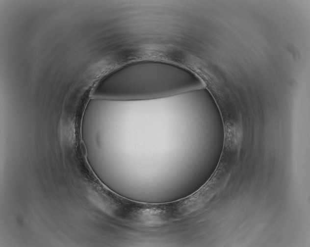 X0000110720158200906191513