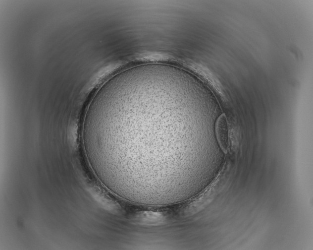 X0000110720159200906191513