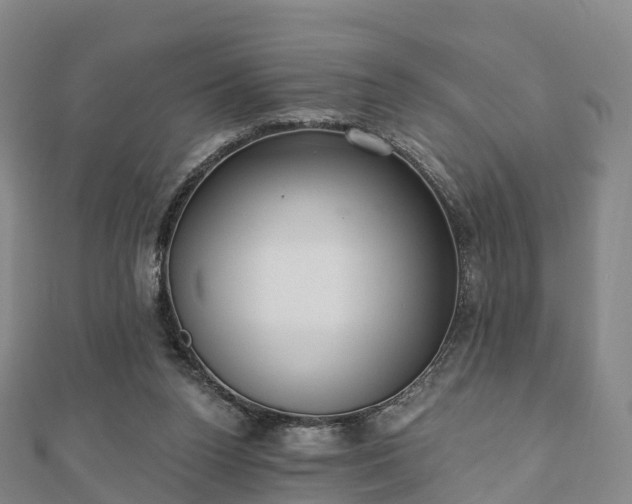 X0000110720160200906191513