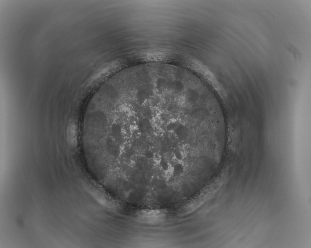 X0000110720161200906191513