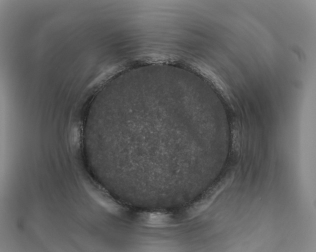 X0000110720165200906191513