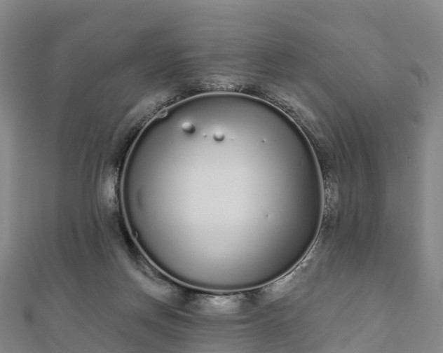 X0000110720166200906191513