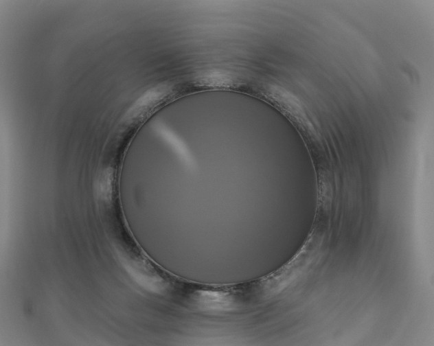 X0000110720167200906191513