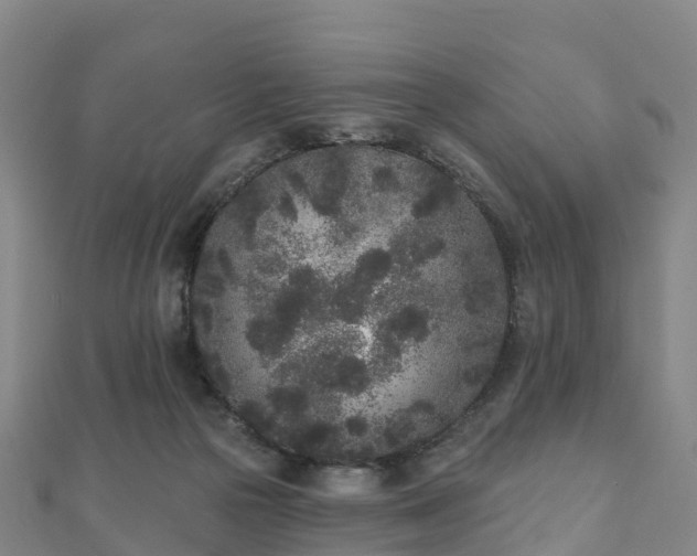 X0000110720169200906191513