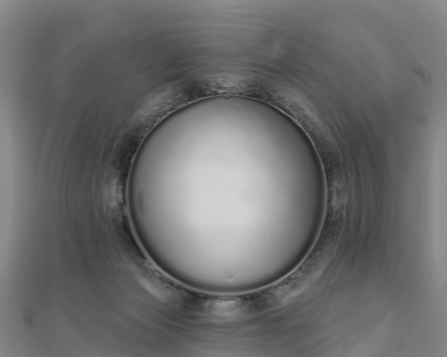 X0000110720173200906191513