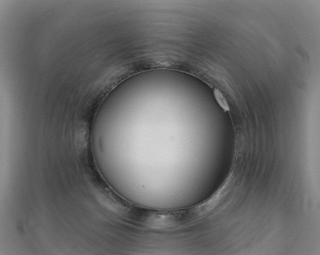 X0000110720174200906191513