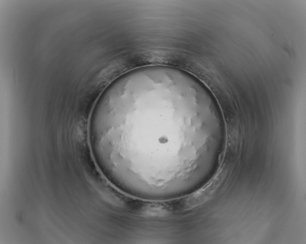 X0000110720175200906191513