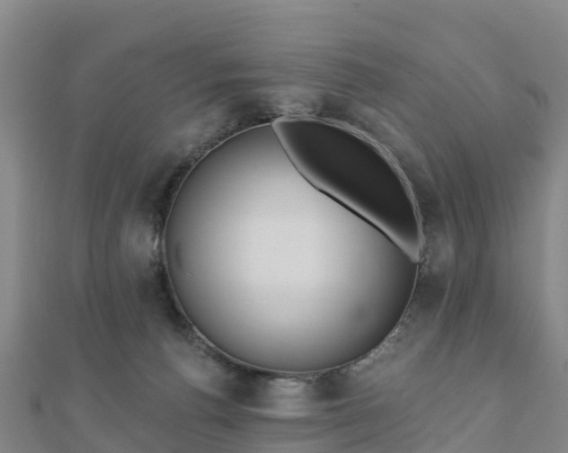 X0000110720176200906191513