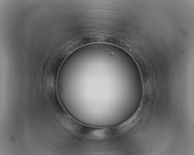 X0000110720178200906191513