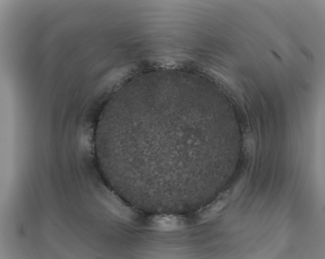 X0000110720181200906191513