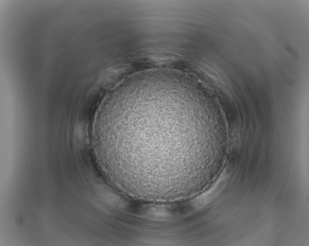 X0000110720182200906191513