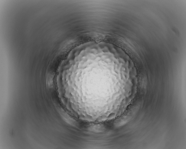 X0000110720185200906191513