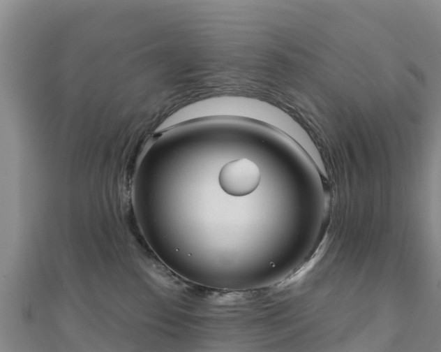 X0000110720186200906191513