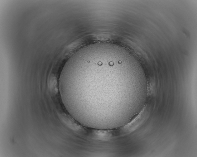 X0000110720187200906191513