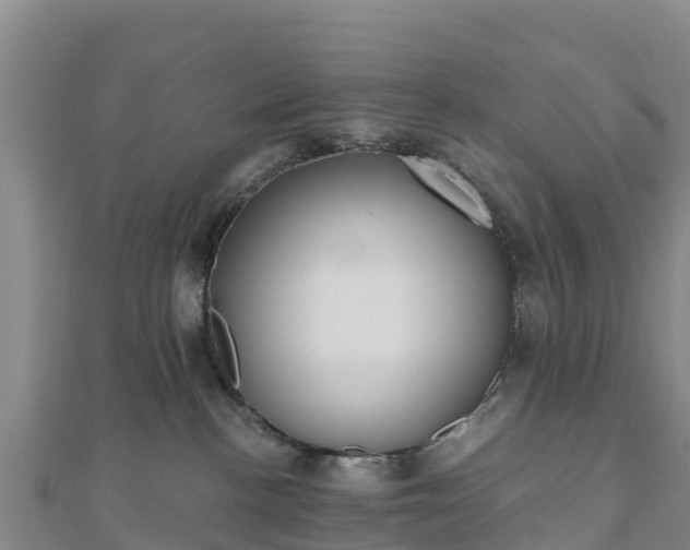 X0000110720188200906191513