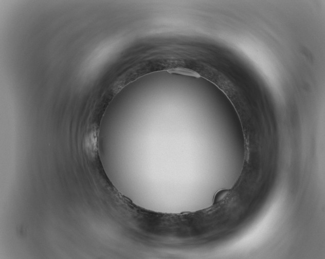 X0000110720190200906191513