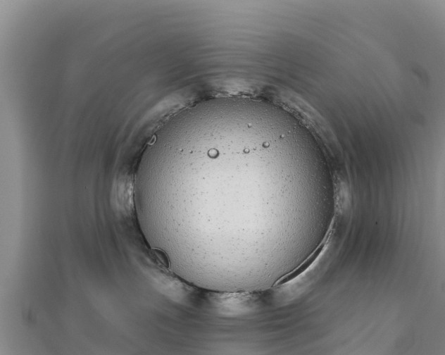 X0000110720191200906191513