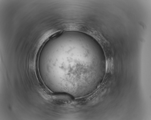 X0000110720195200906191513