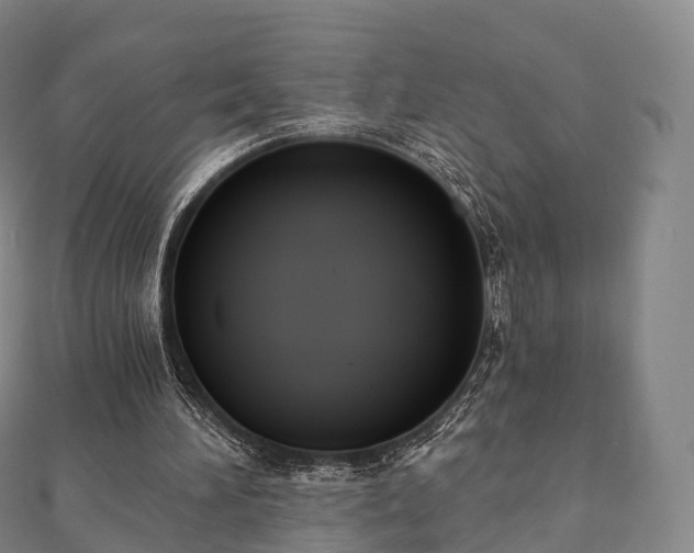 X0000110720196200906191513