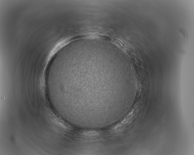 X0000110720198200906191513