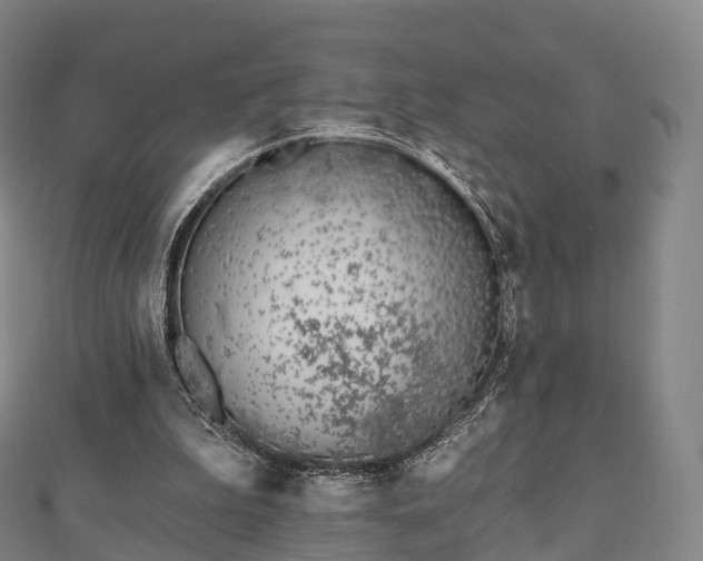 X0000110720199200906191513