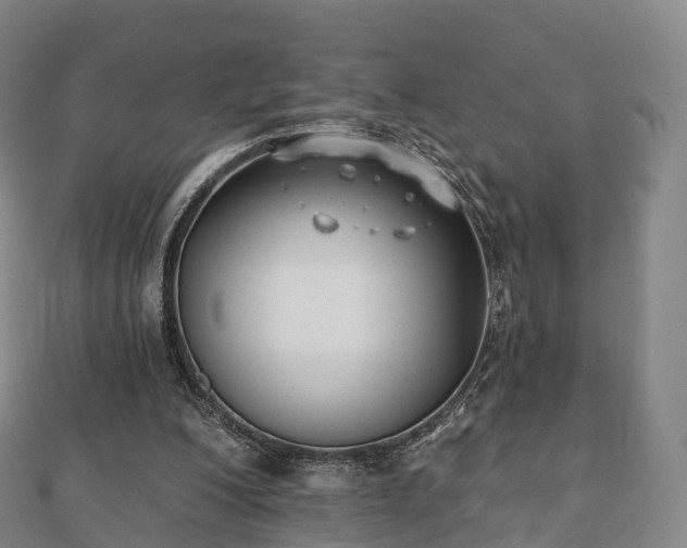 X0000110720200200906191513